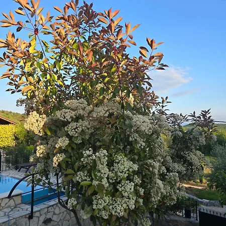 Vila Exklusives Mit Pool & Whirpool Im Dalmatinischen Hinterland 